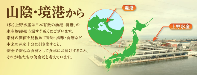 山陰・境港から（株）上野水産は日本有数の漁港「境港」の水産物卸売市場すぐ近くにございます。素材の価値を見極めて旨味・風味・食感など本来の味を十分に引き出すこと、安全で安心な食材として食卓にお届けすること、それが私たちの使命だと考えています。