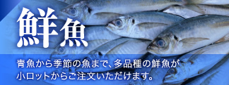 鮮魚　青魚から季節の魚まで、加工食品原料・養殖用飼料など、小ロットから対応します。