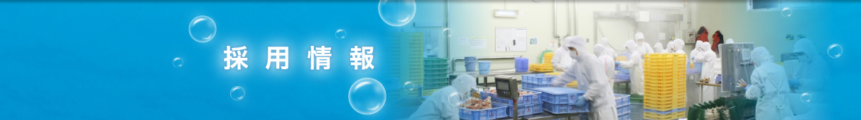 採用情報